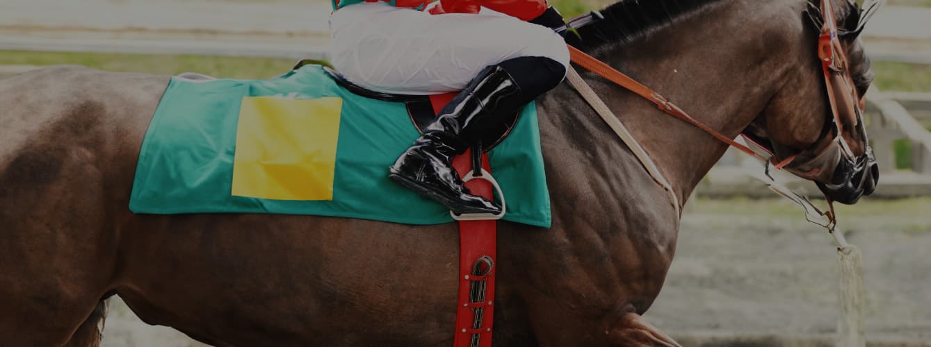 Race Days at the Trace