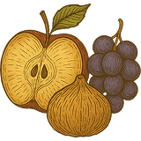 AGED FRUIT