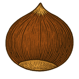 CHESTNUT